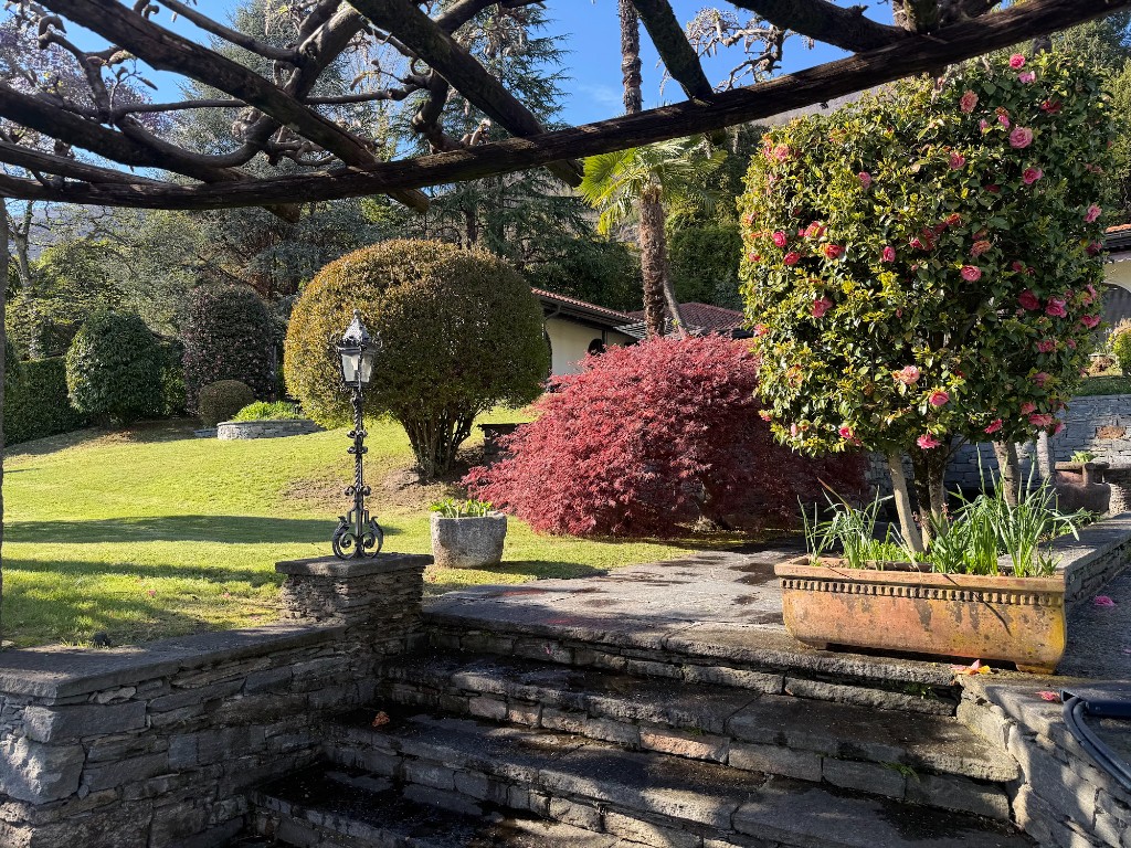 Gepflegte Hecken und Sträucher im Garten: blühende Hecke, roter Ahorn und Kugelhecke unter Holzpergola