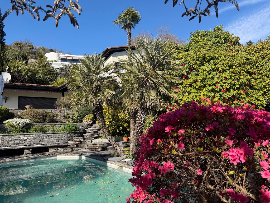 Terrassierter Garten mit Pool, Palmen und blühenden Hecken am Lago Maggiore: Grünflächenpflege gegen Mücken