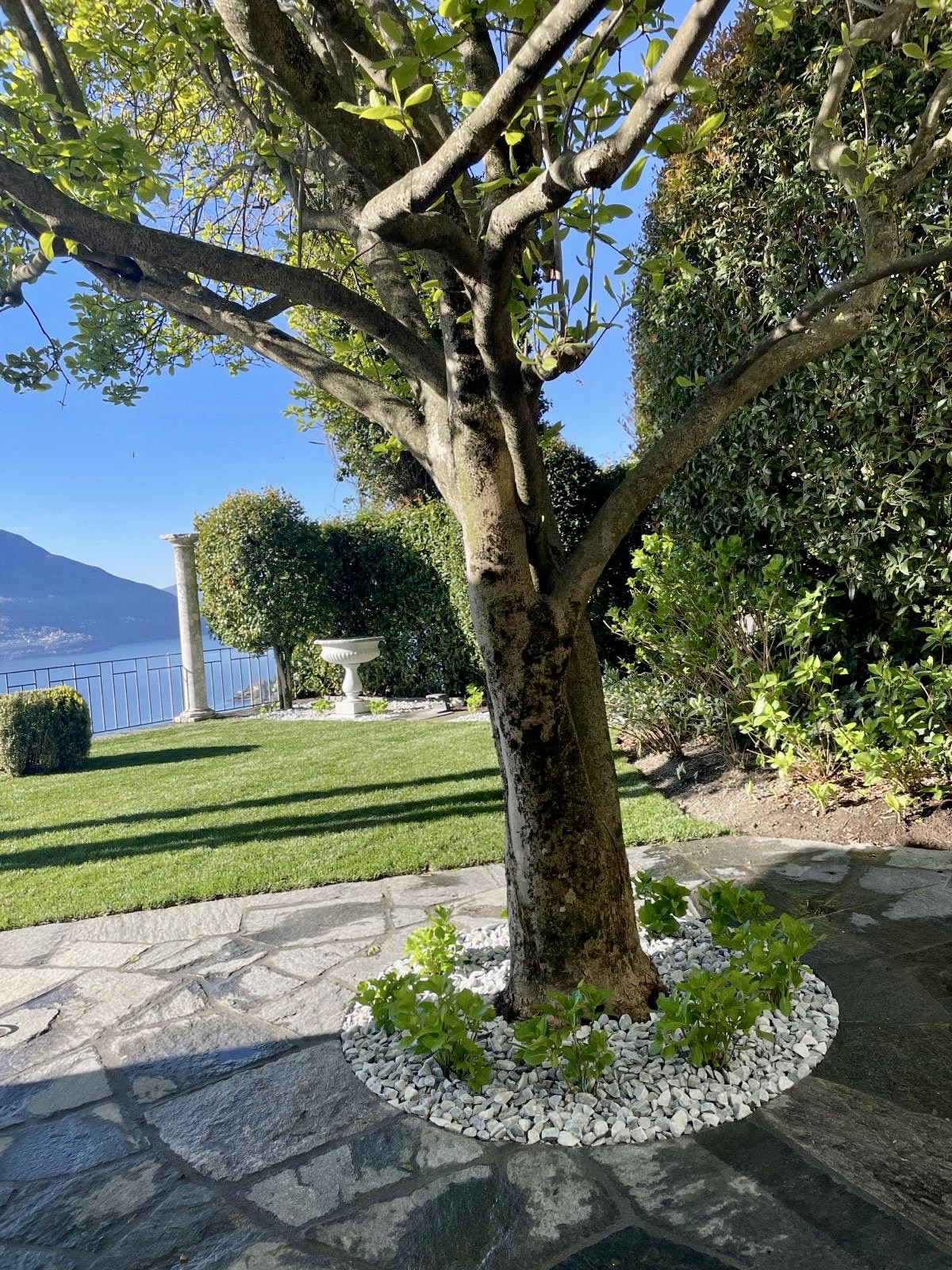 Realizzazione area verde — Giardinaggio, opera Nikola Giardini e Figli in Ticino