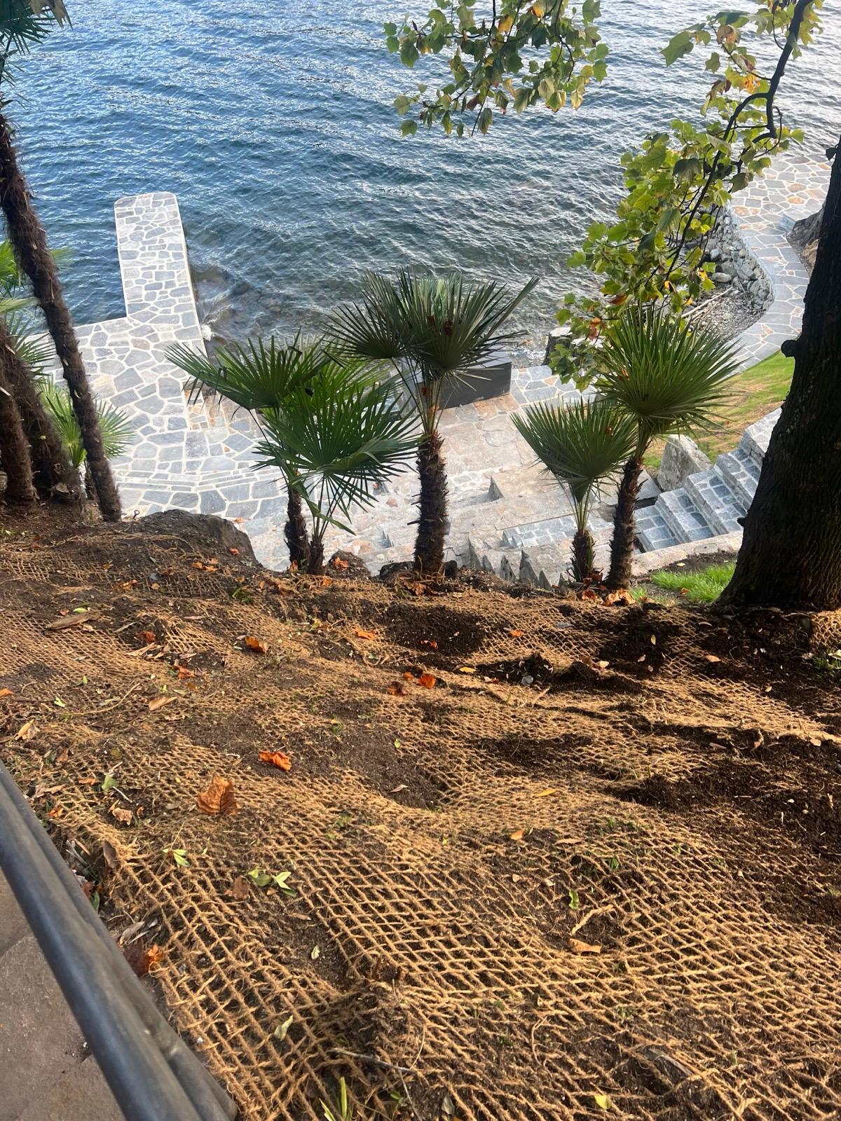 Inverdimento di scarpata — Giardinaggio, opera Nikola Giardini e Figli in Ticino