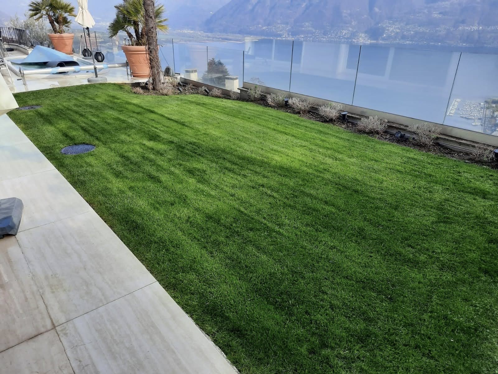 Posa tappeto erboso — Giardinaggio, opera Nikola Giardini e Figli in Ticino