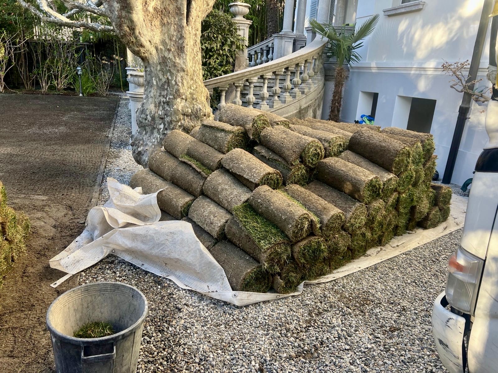 Tappeto erboso — Giardinaggio, opera Nikola Giardini e Figli in Ticino