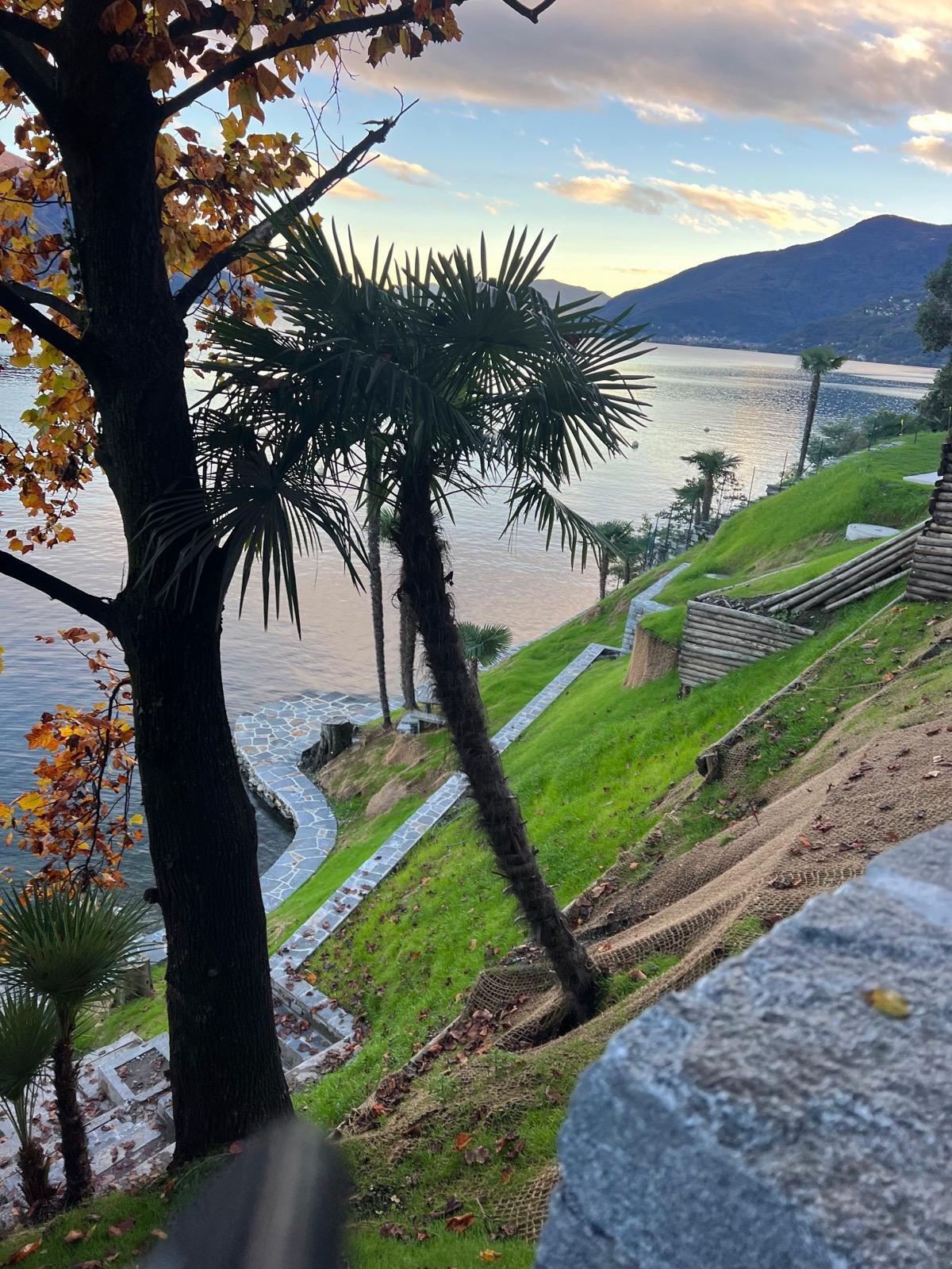 Terrazzamenti e inverdimento di scarpata — Giardinaggio, opera Nikola Giardini e Figli in Ticino